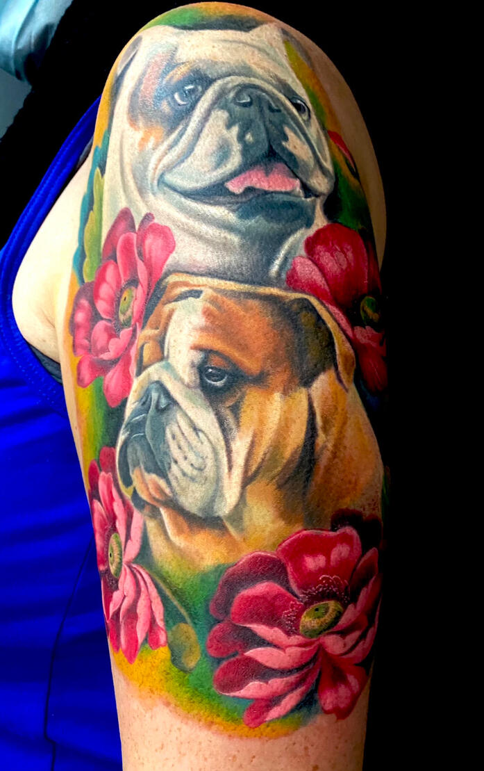 Portrait des chiens en couleurs